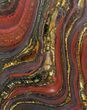 Polished Tiger Iron Stromatolite - ( Billion Years) #92983-1